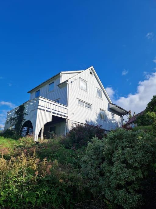 Madsgard Villa Etnesjoen Екстериор снимка
